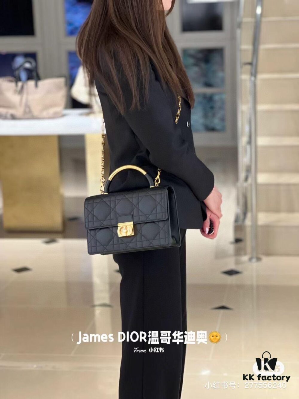 Large Dior Ange Handbag