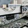 Original Order Embroidered Medium [Dior Book Tote]