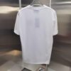 Gucci Embroidered Short Sleeve T-Shirt (Top Quality Version, Different from Standard Stock)