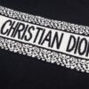 New Dior DIOR 2024 Latest Jacquard Knit Long Sleeve Sweater Unisex