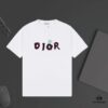 DIOR Letter-Print Colorblock Short-Sleeve T-Shirt for Unisex