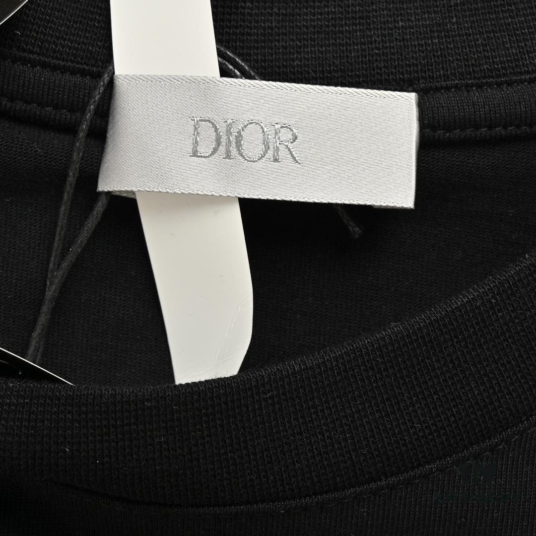 Dior Logo Embroidered Short Sleeve T-Shirt with Double Exposure Brush Stitch