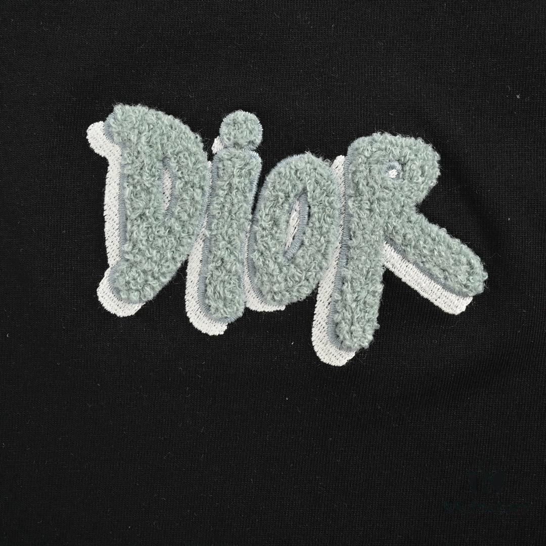 Dior Logo Embroidered Short Sleeve T-Shirt with Double Exposure Brush Stitch
