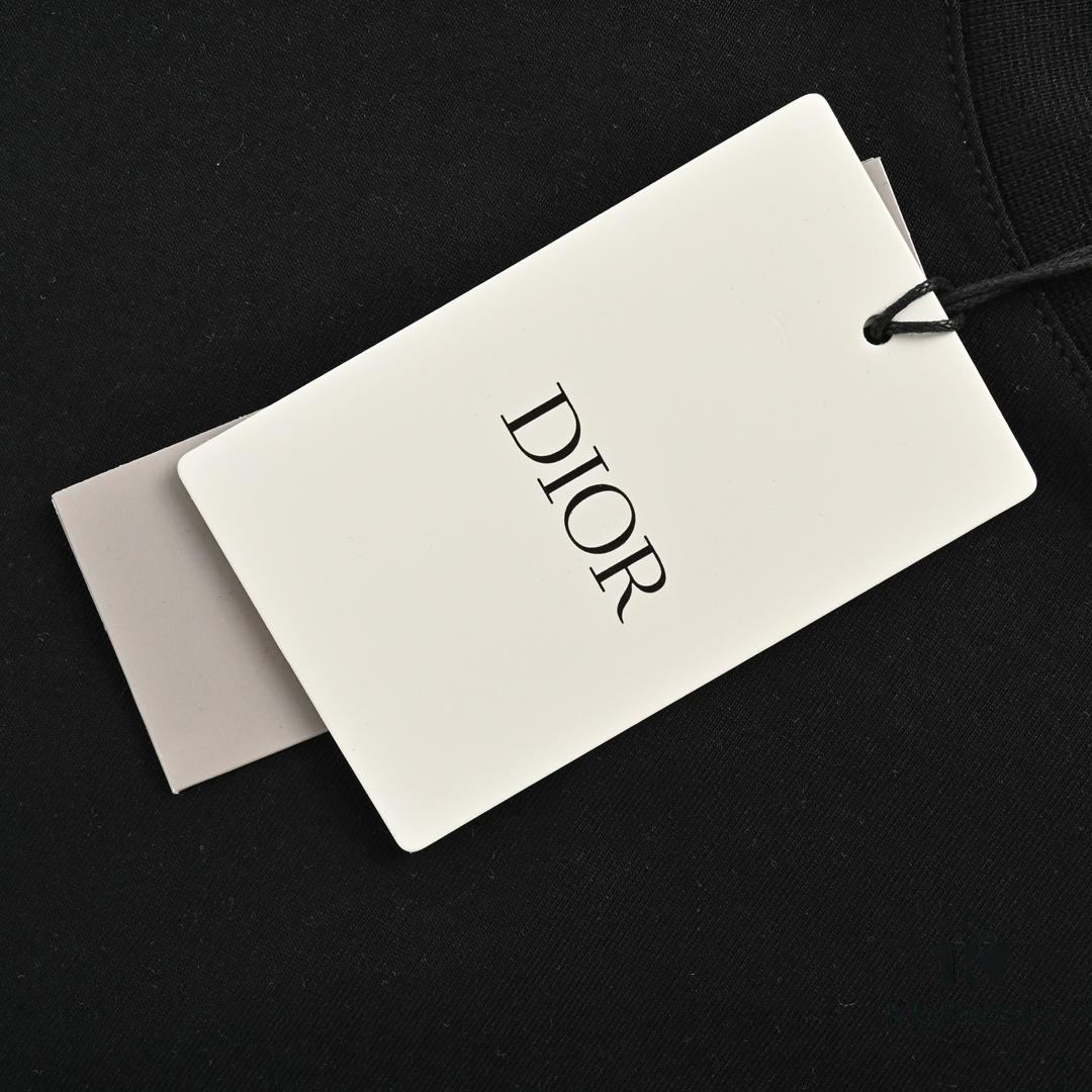 Dior Logo Embroidered Short Sleeve T-Shirt with Double Exposure Brush Stitch