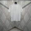 Dior 25SS New Arrival Polo Shirt from the DIOR AND HYLTON NEL Collaboration Collection