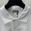 Dior 25SS New Arrival Polo Shirt from the DIOR AND HYLTON NEL Collaboration Collection