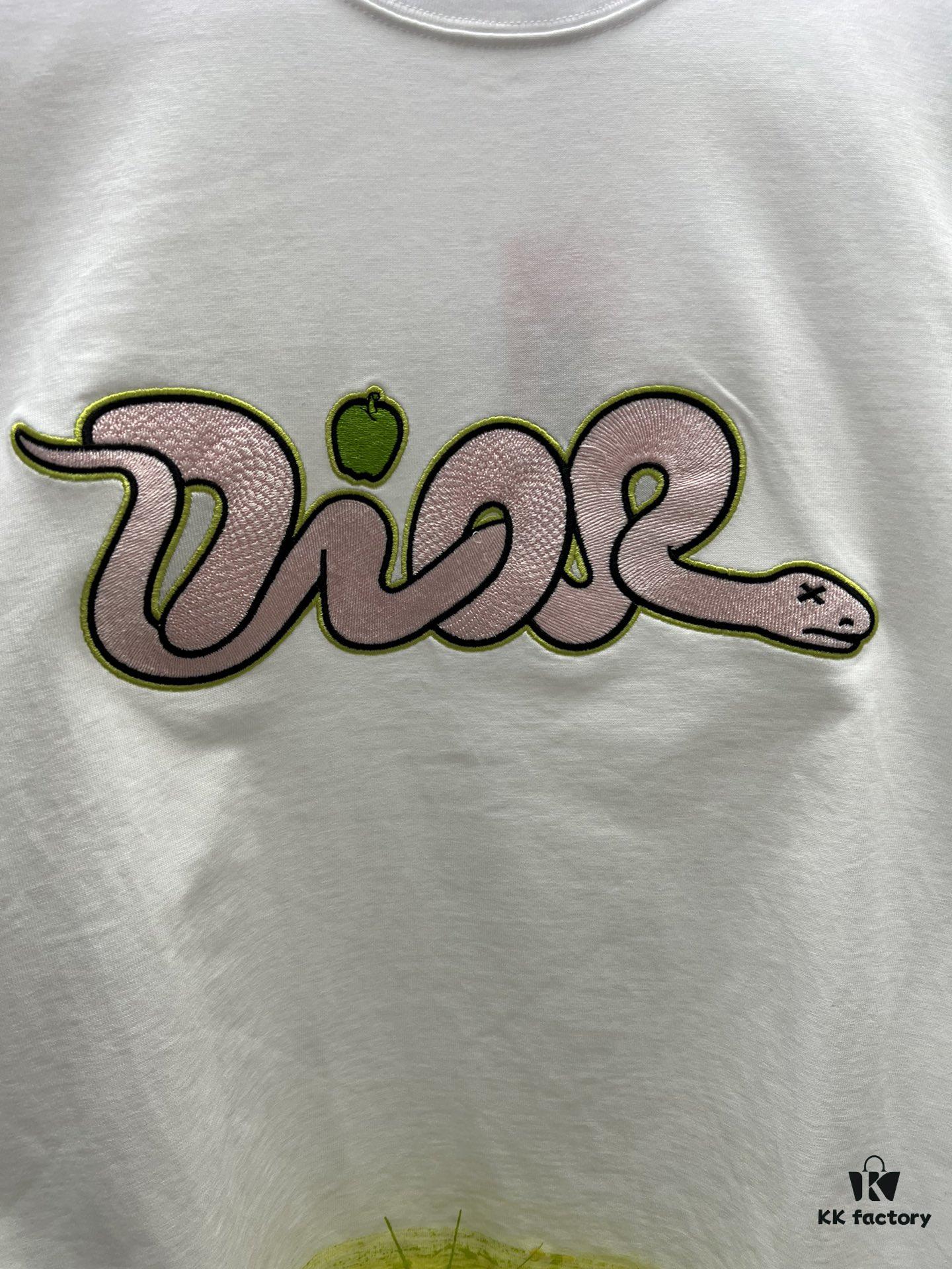 Dior 25SS Spring Collection T-Shirt from the DIOR AND KAWS Limited Edition Series
