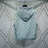 Dior 24SS New Arrival Sleeveless Hooded Sweatshirt from the 2024 Beachwear Capsule Collection, Featuring the Iconic Oblique Print