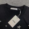 New Dior Short-Sleeve T-Shirt with Heavy Embroidered Stars and Lettering