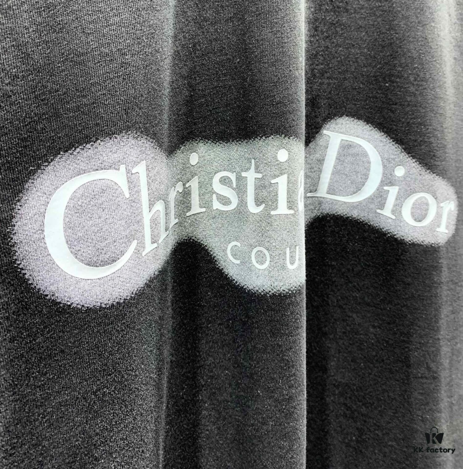 Dior Logo Print T-Shirt