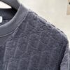 Dior 25s New Arrival Original Order T-Shirt, Custom Terry Fabric with Letter Jacquard, Classic Short-Sleeve Dior Fashion Style, Solid Color Design, Stylish and Versatile, Three Labels Complete