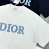 Dior 25s Streetwear T-Shirt, Unisex Design, Minimalist Style with 3D Embroidered Logo, Premium 260g Cotton Fabric, Black and White Options