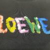LOEWE New Arrival Towel Embroidery T-Shirt, High-Quality 280g Double-Yarn Cotton Fabric, Soft and Comfortable Wear, Heavyweight Smooth Cotton Washed Feel, Premium Front Letter Towel Embroidery with Special Craftsmanship, Custom Dyeing, Full Branding, Not Ordinary Market Version