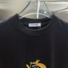Loewe Embroidered Short Sleeve T-Shirt (Top Quality Version, Distinct from Standard)