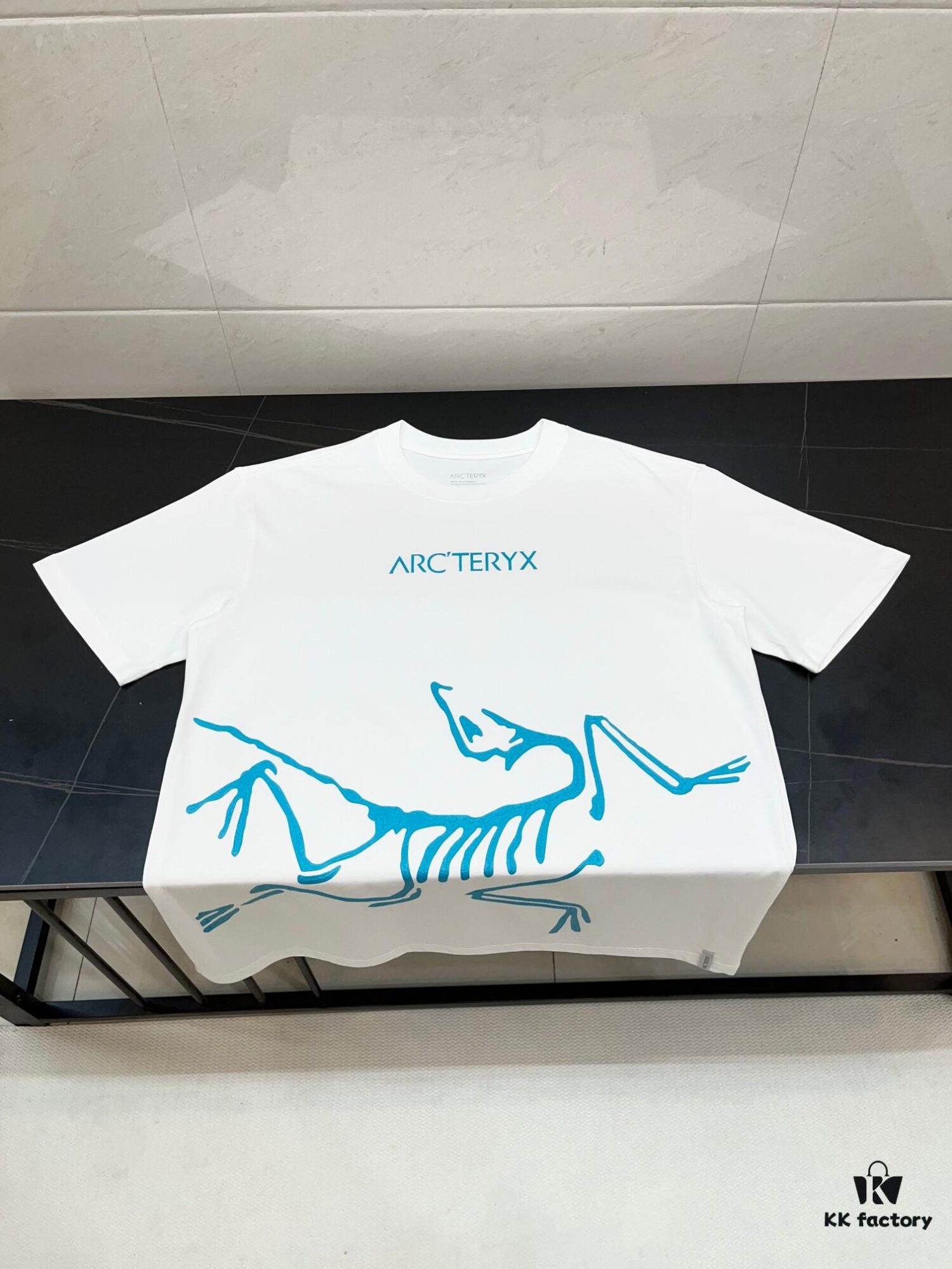 Ayc Teryx Arc'teryx 2025 FW Junior Bird Logo Premium Print Short Sleeve T-Shirt, 280g Pure Cotton Double Yarn Fabric, Soft and Comfortable Wear, Custom Rib Knit Collar Dyed in Same Dye Batch, Full Trims with Three Labels, Unisex Design, High-Version Comparable at Will
