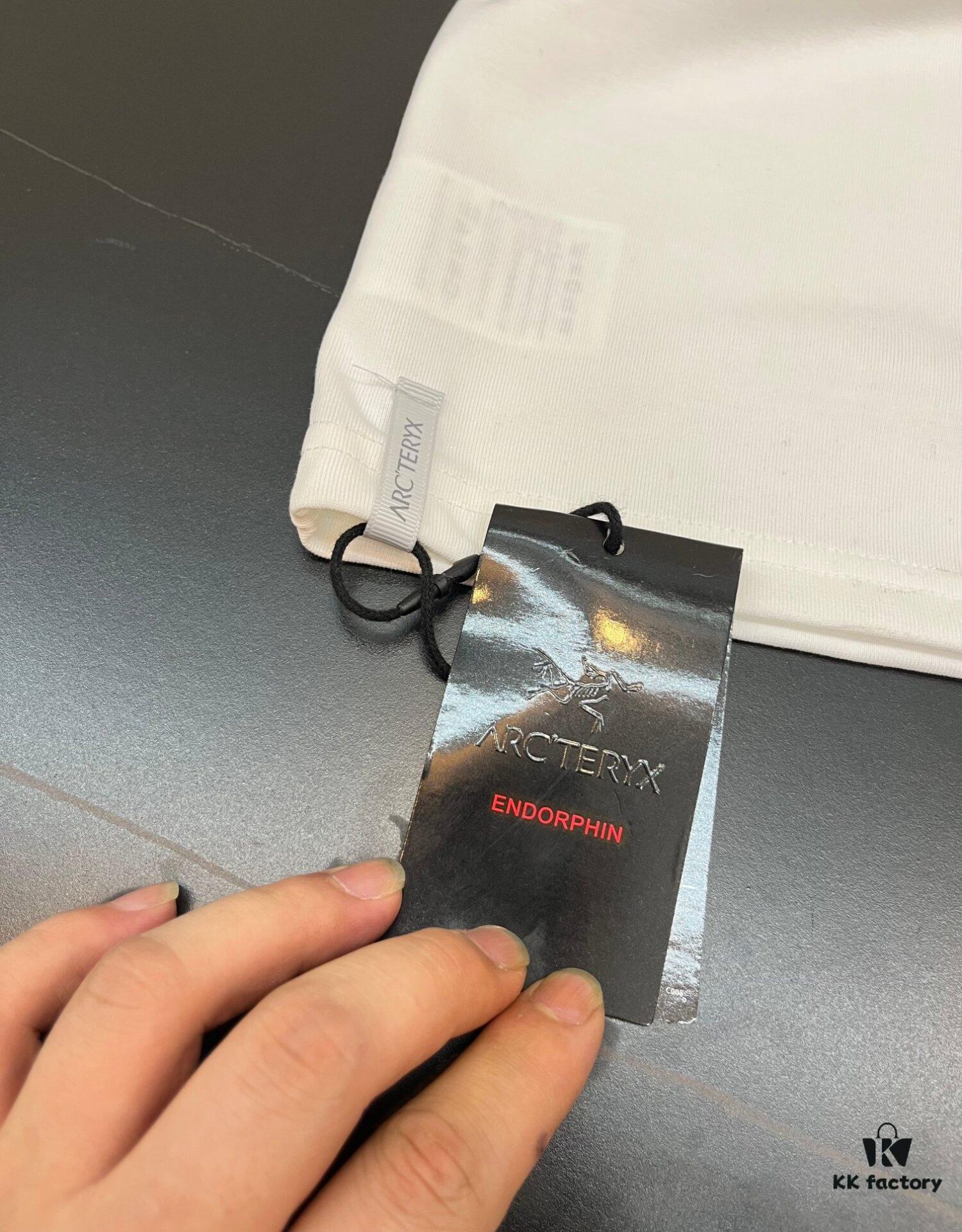 Ayc Teryx Arc'teryx 2024 Mini Bird Logo Reflective Print Short Sleeve T-Shirt, 280g Pure Cotton Double-Yarn Fabric, Soft and Comfortable Wear, Custom Rib Knit Collar Dyed in Same Dye Batch, Complete Three Labels, Unisex Style, High Version for Comparison