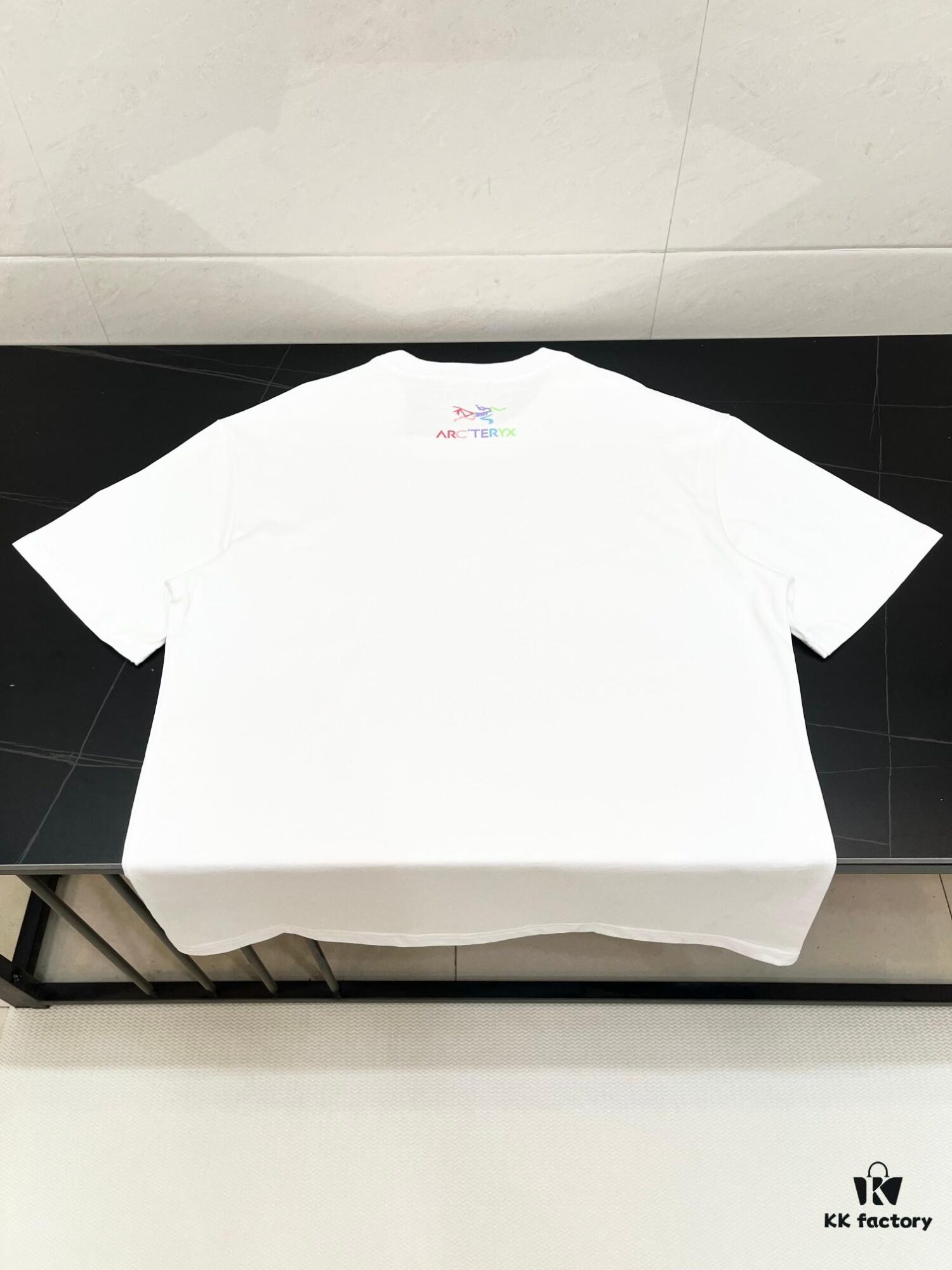 ARC'TERYX Rainbow Logo Crew Neck Printed Short Sleeve T-Shirt