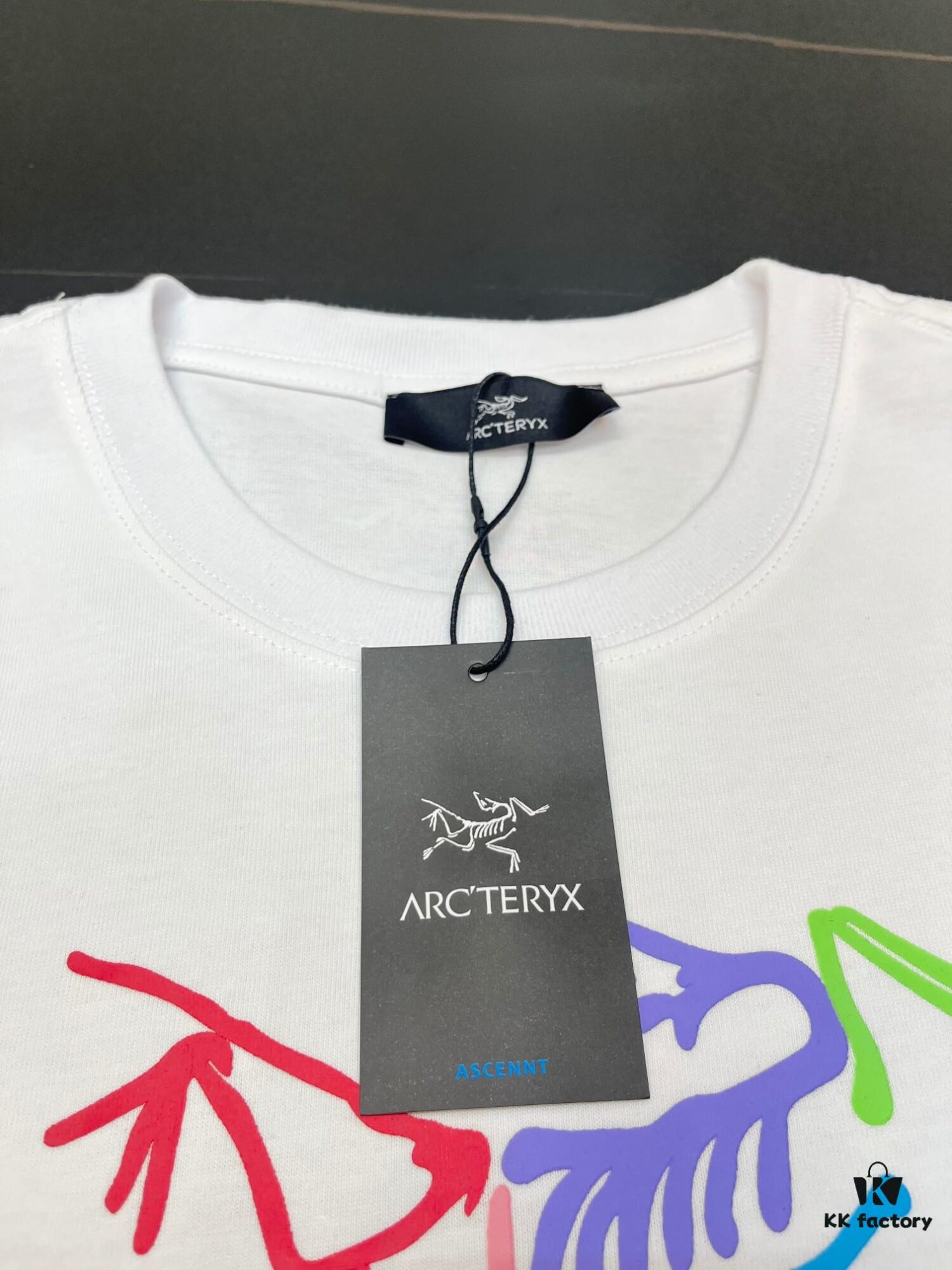 ARC'TERYX Rainbow Logo Crew Neck Printed Short Sleeve T-Shirt