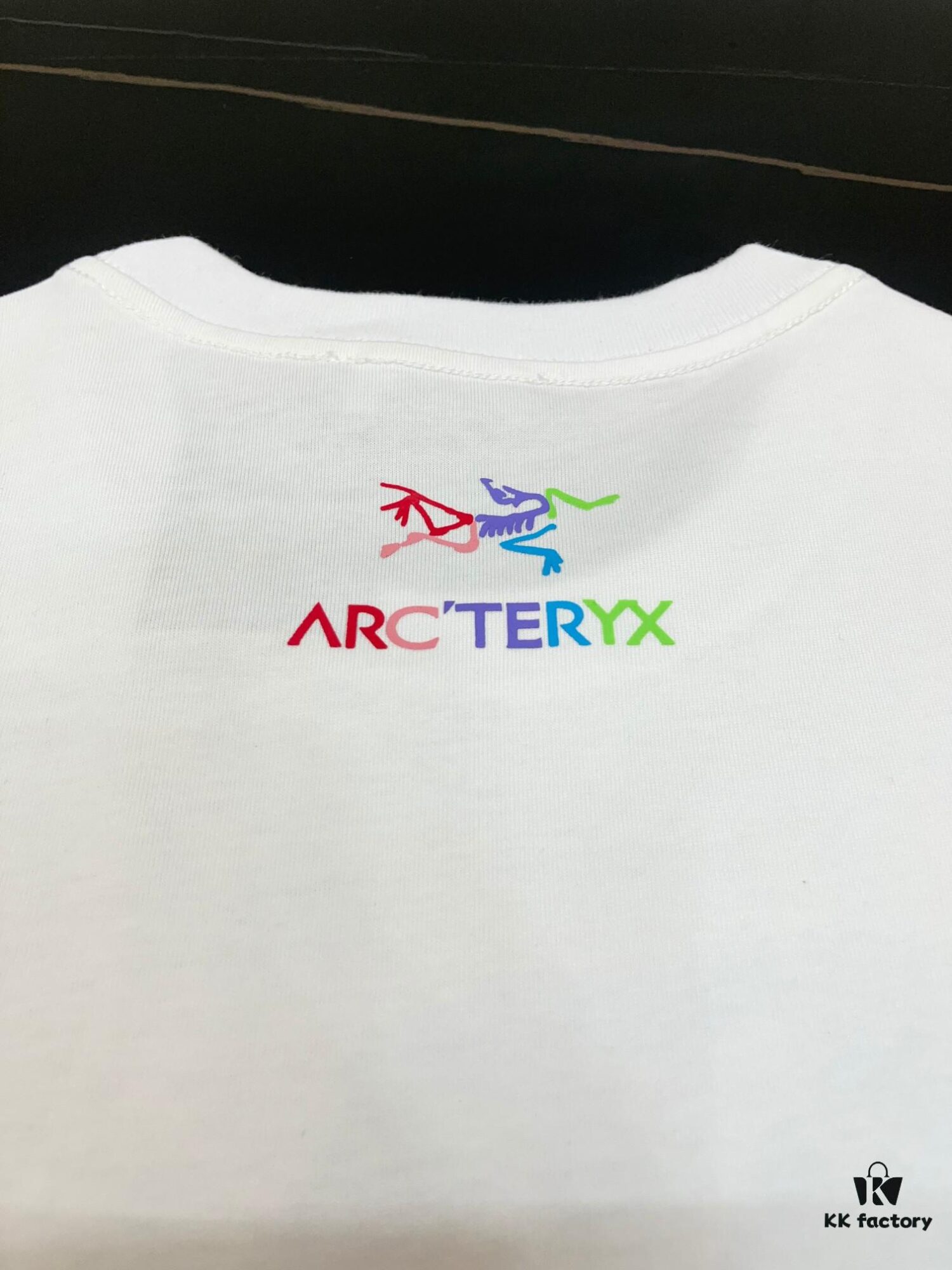 ARC'TERYX Rainbow Logo Crew Neck Printed Short Sleeve T-Shirt