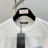 Arc'teryx High-Quality SS25 Screen-Printed T-Shirt, Classic Colorway, Premium 280g Cotton, Bear Series Design