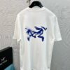Arc'teryx High-Quality SS25 Screen-Printed T-Shirt, Classic Colorway, Premium 280g Cotton, Bear Series Design