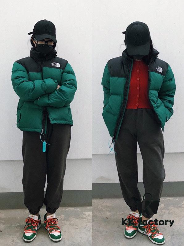 The North Face 1996 Down Jacket