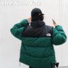 The North Face 1996 Down Jacket