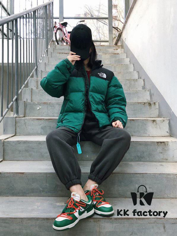 The North Face 1996 Down Jacket