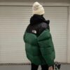 The North Face 1996 Down Jacket