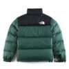 The North Face 1996 Retro Fleece Jacket