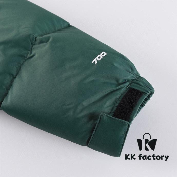 The North Face 1996 Retro Fleece Jacket