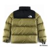 The North Face 1996 Retro Fleece Jacket NFC Chip Version
