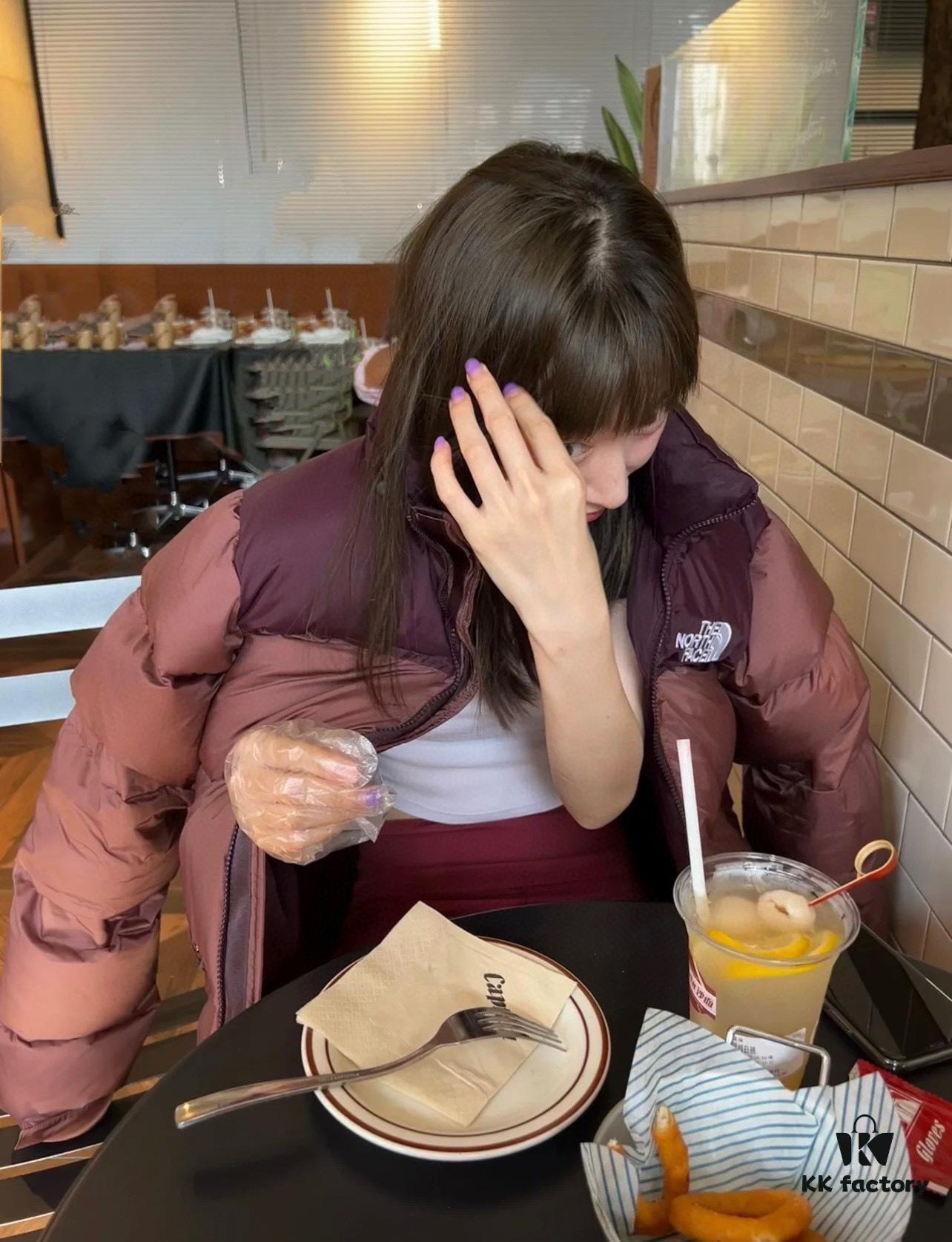 The North Face 1996 Retro Nuptse Jacket