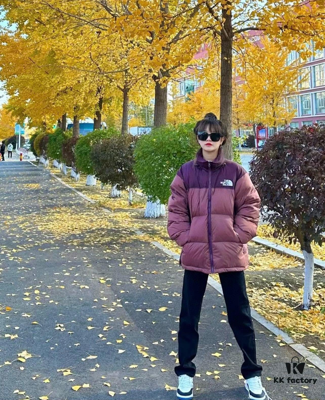 The North Face 1996 Retro Nuptse Jacket