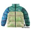 TNF x KAWS 1996 US Edition Down Jacket - NFC Chip Version