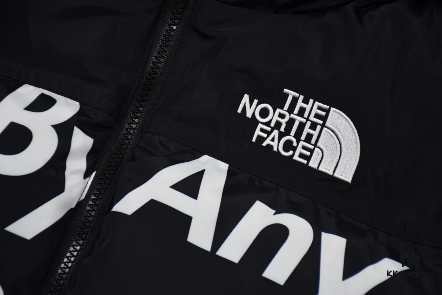Supreme x The North Face TNF 15FW By Any Means Collaborative Down Jacket (Full Alignment Lettering) with Hidden Hood