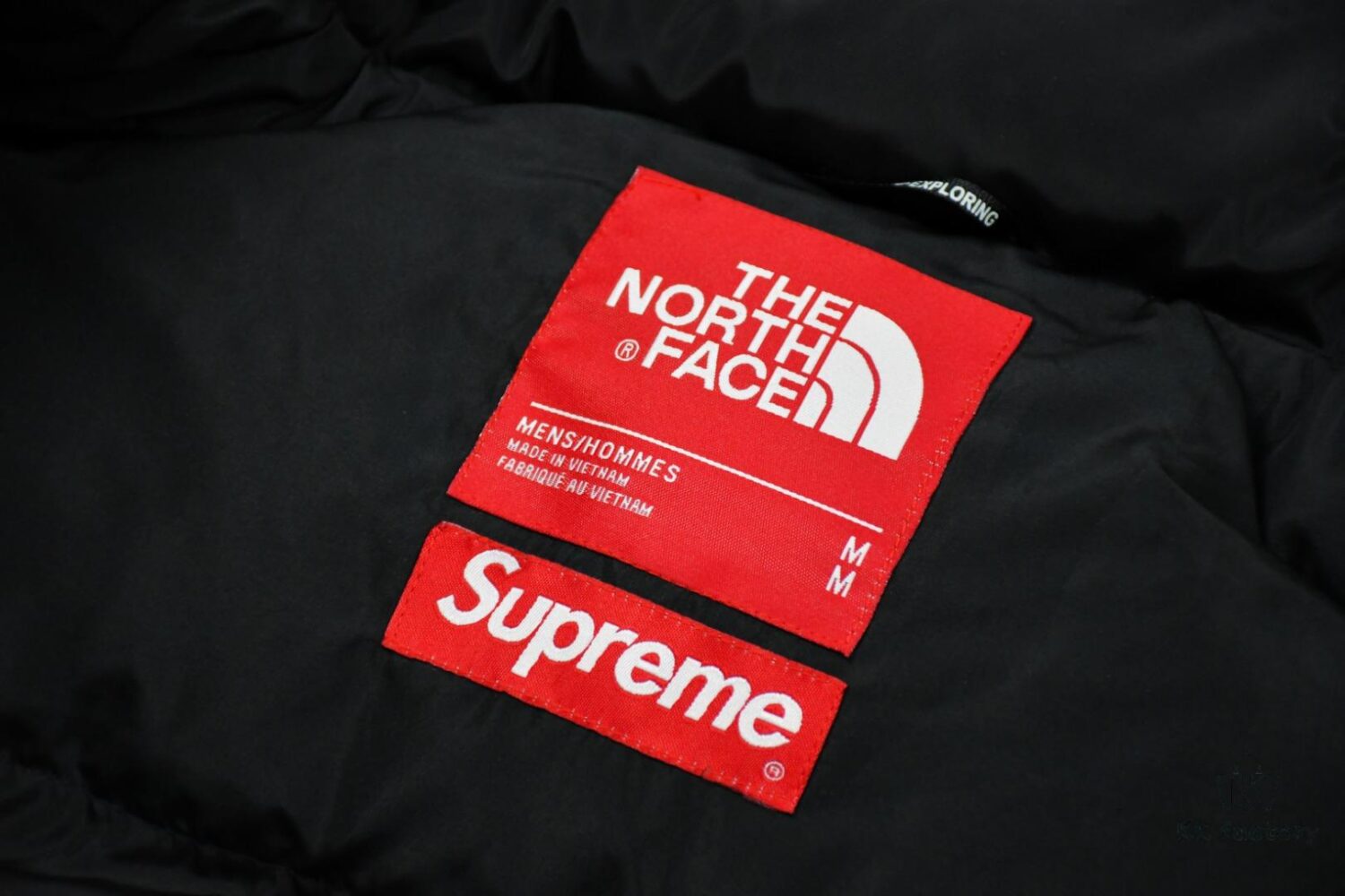 Supreme x The North Face TNF 15FW By Any Means Collaborative Down Jacket (Full Alignment Lettering) with Hidden Hood