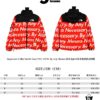 Supreme x The North Face TNF 15FW By Any Means Collaboration Down Jacket (Full Alignment Letters) with Hidden Hood