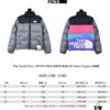 The North Face x INVINCIBLE Collaboration 1996 Retro Nuptse Down Jacket - Top-Tier Version