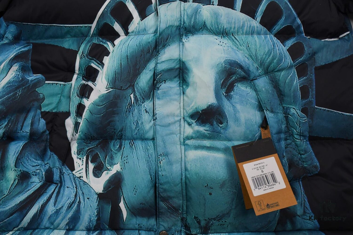 Supreme 19FW Week 10 x The North Face Goddess of Liberty Down Jacket