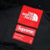 Supreme 19FW Week 10 x The North Face Goddess of Liberty Down Jacket