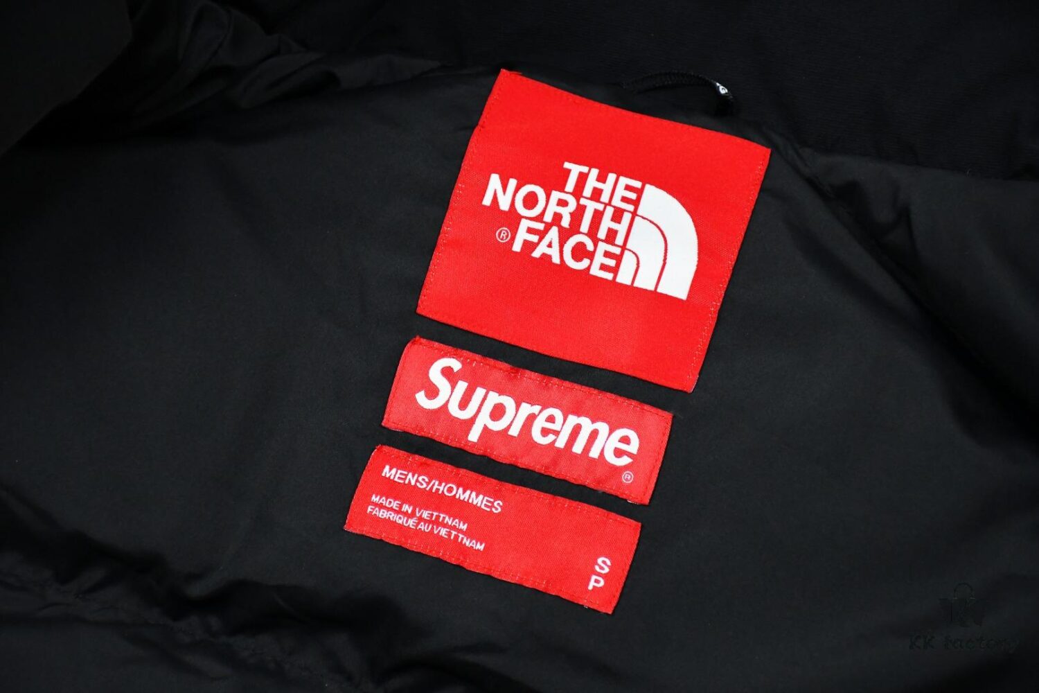 Supreme 19FW Week 10 x The North Face Goddess of Liberty Down Jacket