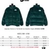 Supreme Week16 X The North Face Faux Fur Nuptse Coated Down Jacket