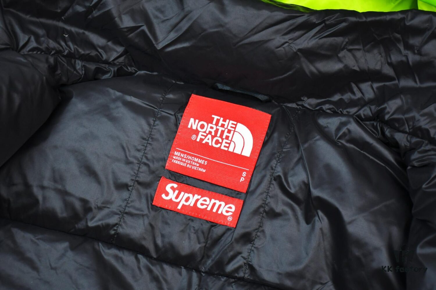 Supreme 20FW x The North Face Himalayan Summit 800-Fill Power Down Jacket - S313