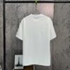 2025 Spring and Summer New Short Sleeve T-Shirt, Heavyweight Pure Cotton with Letter Embroidery