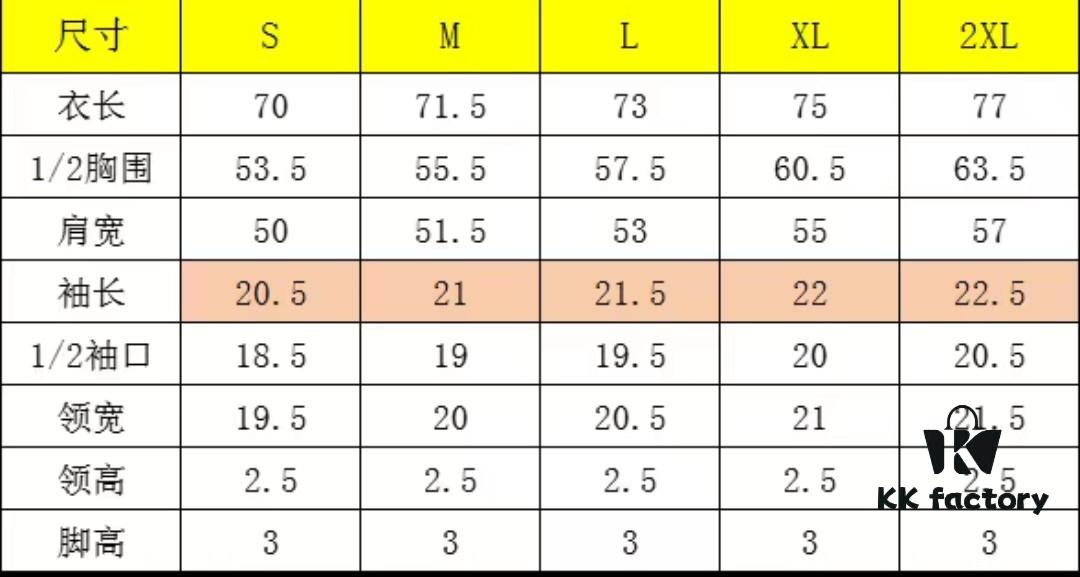 2025 Spring and Summer New Short Sleeve T-Shirt, Heavyweight Pure Cotton with Special Embroidery and 3D Print