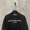 Alexander Wang 24SS Classic Logo Distressed Heavyweight T-Shirt with Thick Print