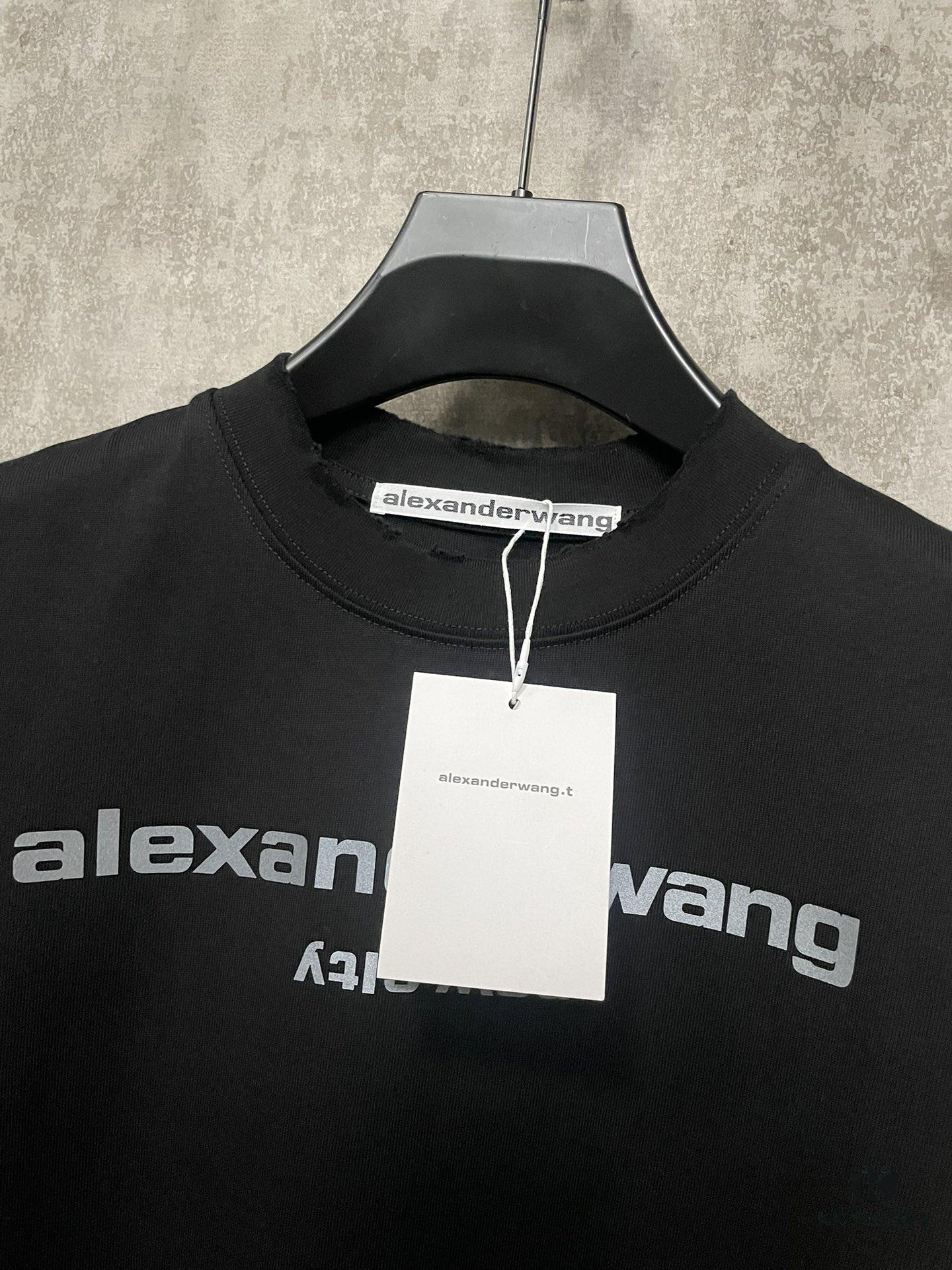 Alexander Wang 24SS Classic Logo Distressed Heavyweight T-Shirt with Thick Print