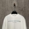 Alexander Wang 24SS Classic Logo Distressed Heavyweight T-Shirt with Thick Plate Print