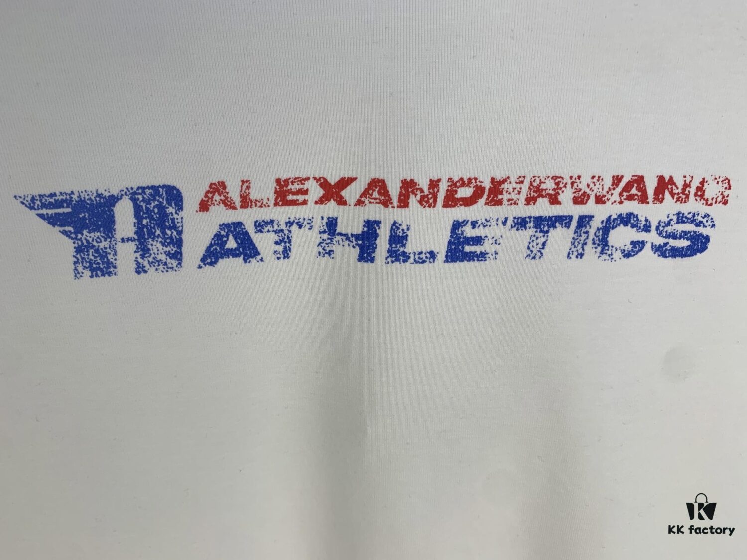 Alexander 2025 Distressed Logo Women's T-Shirt